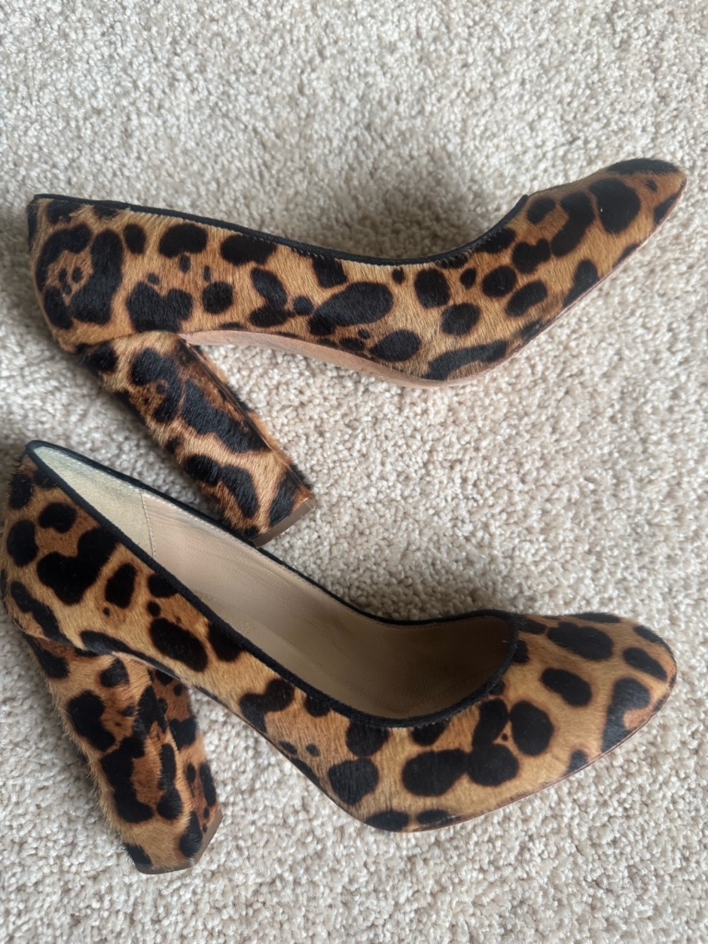 J Crew Italy, 6.5